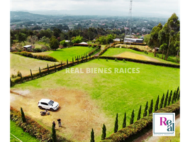  Land for sale in El Carmen De Viboral, Antioquia, El Carmen De Viboral