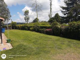 6 Habitación Casa en venta en Antioquia, Rionegro, Antioquia