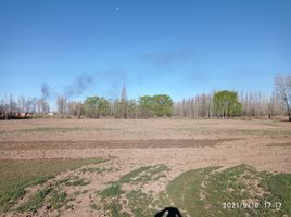  Terreno (Parcela) en venta en Rio Negro, General Roca, Rio Negro