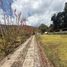  Land for sale in Tenango Del Valle, Mexico, Tenango Del Valle