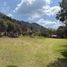  Land for sale in Tenango Del Valle, Mexico, Tenango Del Valle