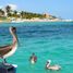 1 Schlafzimmer Wohnung zu verkaufen in Puerto Morelos, Quintana Roo, Puerto Morelos
