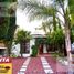 Studio House for rent in Tequisquiapan, Queretaro, Tequisquiapan, Queretaro