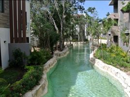 Villa 3 chambre à louer à Cozumel, Quintana Roo, Cozumel