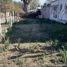  Land for sale in Colon, Cordoba, Colon