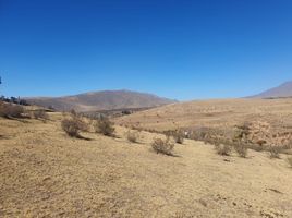  Land for sale in Tafi Del Valle, Tucuman, Tafi Del Valle