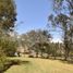  Land for sale in Tarqui, Azuay, Tarqui