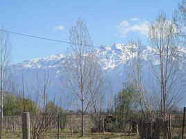  Grundstück zu verkaufen in San Carlos, Mendoza, San Carlos