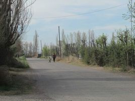  Grundstück zu verkaufen in San Carlos, Mendoza, San Carlos