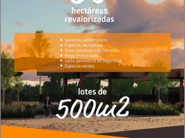  Land for sale in Maipu, Mendoza, Maipu