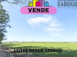  Land for sale in Colon, Entre Rios, Colon