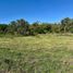  Land for sale in Santa Maria, Cordoba, Santa Maria