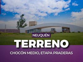  Terreno (Parcela) en venta en Neuquen, Picun Leufu, Neuquen