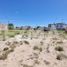  Land for sale in Neuquen, Confluencia, Neuquen