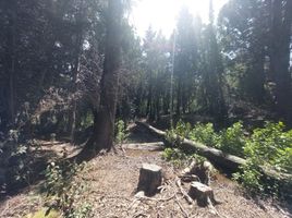  Terreno (Parcela) en venta en Rio Negro, Bariloche, Rio Negro