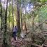  Land for sale in Chile, Chaiten, Palena, Los Lagos, Chile