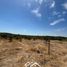  Terreno (Parcela) en venta en Chile, Cauquenes, Cauquenes, Maule, Chile