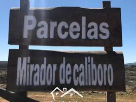  Terreno (Parcela) en venta en Chile, Cauquenes, Cauquenes, Maule, Chile
