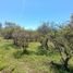  Land for sale in Calamuchita, Cordoba, Calamuchita