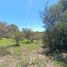  Land for sale in Calamuchita, Cordoba, Calamuchita