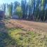  Land for sale in Neuquen, Picun Leufu, Neuquen