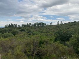  Terreno (Parcela) en venta en Punilla, Cordobá, Punilla