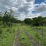  Land for sale in Colon, Cordoba, Colon