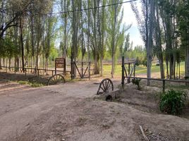  Terreno (Parcela) en venta en Junin, Mendoza, Junin