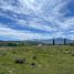  Land for sale in Futaleufu, Chubut, Futaleufu