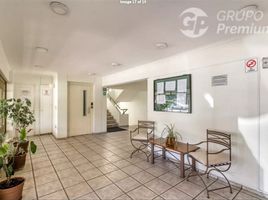 1 Bedroom Apartment for rent in Valparaiso, Vina Del Mar, Valparaiso, Valparaiso