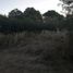  Land for sale in Colon, Cordoba, Colon