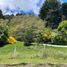  Land for sale in Rio Negro, Bariloche, Rio Negro