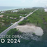  Land for sale in Dzemul, Yucatan, Dzemul