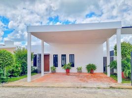4 Schlafzimmer Haus zu verkaufen in Conkal, Yucatan, Conkal