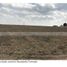  Land for sale in Huamantla, Tlaxcala, Huamantla