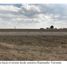  Land for sale in Huamantla, Tlaxcala, Huamantla