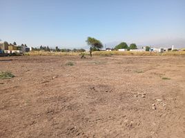 Land for rent in Santiago Santiago, Santiago, Santiago, Santiago