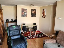 3 Habitación Departamento en alquiler en San Jode de Maipo, Cordillera, San Jode de Maipo