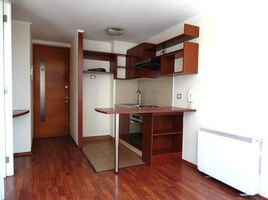 1 Bedroom Apartment for rent in Cordillera, Santiago, Puente Alto, Cordillera