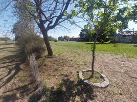  Land for sale in Santa Maria, Cordoba, Santa Maria