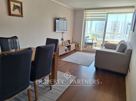 2 Bedroom Apartment for rent in Chile, Vina Del Mar, Valparaiso, Valparaiso, Chile