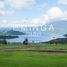  Land for sale in Chile, Villarrica, Cautin, Araucania, Chile