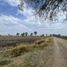  Terreno (Parcela) en venta en Pedro Escobedo, Querétaro, Pedro Escobedo