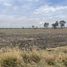  Terreno (Parcela) en venta en Pedro Escobedo, Querétaro, Pedro Escobedo