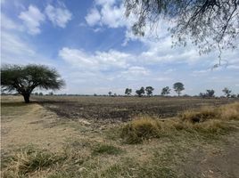  Terreno (Parcela) en venta en Pedro Escobedo, Querétaro, Pedro Escobedo