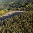  Land for sale in Araucania, Golbea, Cautin, Araucania