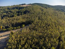  Land for sale in Araucania, Golbea, Cautin, Araucania