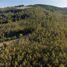  Land for sale in Golbea, Araucania, Golbea