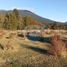  Land for sale in Chile, Puerto Montt, Llanquihue, Los Lagos, Chile