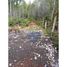  Land for sale in Los Lagos, Puerto Montt, Llanquihue, Los Lagos